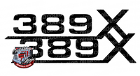 389X Emblem Skins