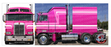 Double Eagle Kenworth Cabover Stripe Kit