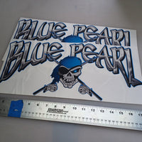In-Stock Special - 17in x 8in Blue Pearl Pontoon Boat Decals
