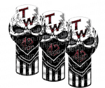 TW 42 Bandit Skull Kenworth Emblem Skin