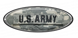 U.S. Army Emblem Skins