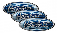 Blue Chrome Peterbilt Emblem Skins