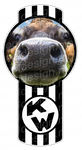 3-Pack Closeup Cow Kenworth Emblems Skins