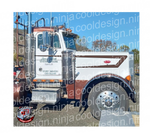 Leading Wedge Daycab Peterbilt Stripe Kit