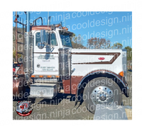 Leading Wedge Daycab Peterbilt Stripe Kit