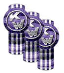 Lighter Shade Of Purple Kenworth Emblem Skin Kit