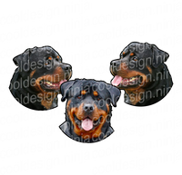 Rottweiler Round Decals