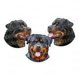 Rottweiler Round Decals