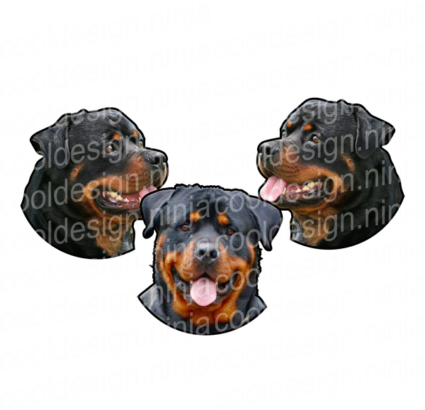 Rottweiler Round Decals