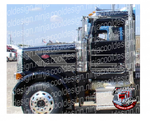 Shorthood Daycab Peterbilt 389 Overhook Stripe